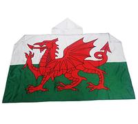 AZ FLAG Drapeau Pays de Galles 150x90 cm - Cape Drapeau Gallois 100% Polyester Avec Manches Intégrées - Body Flag 80g