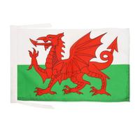 AZ FLAG Drapeau Pays de Galles 45x30 cm Gallois Polyester Léger Cordelettes
