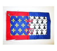 AZ FLAG Drapeau Pays de la Loire 45x30cm - PAVILLON ligérien - France 30 x 45 cm Haute qualité
