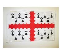 AZ FLAG - Drapeau Pays de Vannes - 45x30 cm - Pavillon Vannetais En Pays De Waroch 100% Polyester Avec Deux Cordelettes - 20g