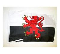 AZ FLAG Drapeau Poitou-Charentes Alternatif 45x30cm - PAVILLON Province du Poitou - France 30 x 45 cm Haute qualité