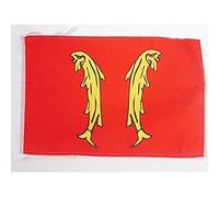 AZ FLAG - Drapeau Principauté de Montbéliard - 45x30 cm - Pavillon De Montbéliard 100% Polyester Avec Deux Cordelettes - 20g