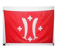 AZ FLAG - Drapeau Principauté de Salm-Salm - 150x90 cm - Drapeau Comté De Salm - France 100% Polyester Avec Fourreau et cordelette - Pavillon 110 g