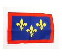 AZ FLAG - Drapeau Province d'Anjou - 45x30 cm - Pavillon Angers - France 100% Polyester Avec Deux Cordelettes - 20g