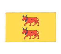 AZ FLAG - Drapeau Province du Béarn - 150x90 cm - Drapeau Pyrénées-Atlantiques - France 100% Polyester Avec Oeillets Métalliques Intégrés - Pavillon 110 g