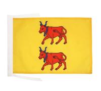 AZ FLAG Drapeau Province du Béarn 45x30 cm Polyester 100D Cordelettes