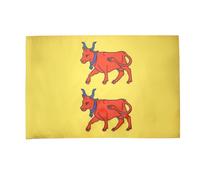 AZ FLAG Drapeau Province du Béarn 90x60 cm Français Polyester 100D Fourreau