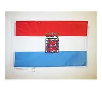 Drapeau Province du Luxembourg 45x30cm - PAVILLON de Wallonie 30 x 45 cm haute qualité - AZ FLAG