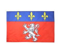 AZ FLAG - Drapeau Province du Lyonnais - 90x60 cm - Drapeau De Lyon 100% Polyester Avec Fourreau et Cordelette - Pavillon 50 g