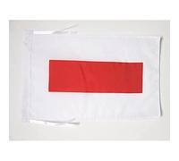 AZ FLAG - Drapeau Ras el Khaïmah - 45x30 cm - Pavillon Ras Al-Khaimah Aux Émirats Arabes Unis 100% Polyester Avec Deux Cordelettes - 20g