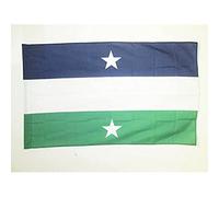 AZ FLAG Drapeau Royaume d'Araucanie et de Patagonie avec étoiles 90x60 cm | Usage intérieur et extérieur Drapeau décoratif du royaume de Nouvelle-France coutures doubles et bords renforcés