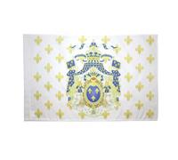 AZ FLAG - Drapeau Royaume de France Grandes Armes - 90x60 cm - Drapeau Royaliste Fleur De Lys 100% Polyester Avec Fourreau et Cordelette - Pavillon 50 g