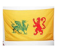 AZ FLAG Drapeau Royaume de Galice 410-585 90x60 cm Polyester 100D Fourreau | Usage intérieur et extérieur Drapeau décoratif galicien coutures doubles et bords renforcés avec fourreau pour mât