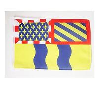 AZ FLAG - Drapeau Saône-et-Loire - 45x30 cm - Pavillon Département Français - Bourgogne 100% Polyester Avec Deux Cordelettes - 20g