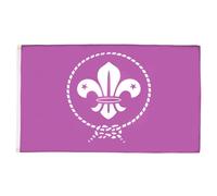 AZ FLAG Drapeau Scouts Violet 150x90 cm Polyester 100D 2 Œillets | Usage intérieur et extérieur Drapeau décoratif du scoutisme coutures doubles et bords renforcés avec œillets métalliques