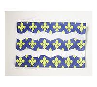 Drapeau Seine-et-Marne 45x30cm - PAVILLON département français - Île-de-France 30 x 45 cm haute qualité - AZ FLAG