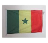AZ FLAG - Drapeau Sénégal Spécial Extérieur - 90x60 cm - Pavillon Nautique Sénégalais En Maille Bloquée Avec Anneaux Plastiques Intégrés - 80g