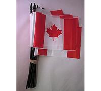 AZ FLAG Drapeau sur Hampe Canada 15x10 cm Canadien Polyester Léger Hampe