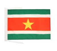 AZ FLAG Drapeau Suriname 45x30 cm Surinamien Polyester 100D Cordelettes
