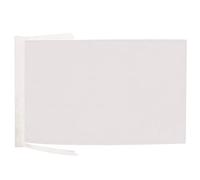 AZ FLAG - Drapeau Unicolore Blanc - 45x30 cm - Pavillon De Couleur Blanche 100% Polyester Avec Deux Cordelettes - 20g