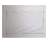 AZ FLAG - Drapeau Unicolore Blanc - 45x30 cm - Pavillon Nautique De Couleur Blanche Spécial Bateau Et Extérieur En Maille Bloquée Avec Anneaux Plastiques Intégrés - 30g