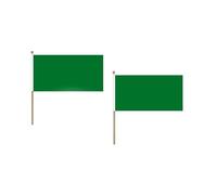 AZ FLAG Drapeau Unicolore Vert 45x30cm HAMPE en Bois - Lot de 10 Drapeaux de Couleur Verte 30 x 45 cm