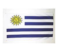 AZ FLAG - Drapeau Uruguay - 90x60 cm - Drapeau Uruguayen 100% Polyester Avec Oeillets Métalliques Intégrés - Pavillon 50 g