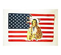 AZ FLAG - Drapeau USA avec Indien - 150x90 cm - Drapeau 100% Polyester Avec Oeillets Métalliques Intégrés - Pavillon 110 g