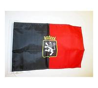 AZ FLAG - Drapeau Vallée d'Aoste avec Armes - 45x30 cm - Pavillon Valle D'Aosta Armoiries - Italie 100% Polyester Avec Deux Cordelettes - 20g