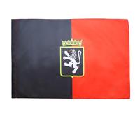 AZ FLAG Drapeau Vallée d'Aoste avec Armes 90x60 cm Polyester 100D Fourreau | Usage intérieur et extérieur Drapeau décoratif italien coutures doubles et bords renforcés avec fourreau pour mât