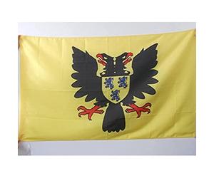 AZ FLAG Drapeau Ville de Cambrai 150x90 cm Polyester 100D Fourreau | Usage intérieur et extérieur Drapeau décoratif coutures doubles et bords renforcés avec fourreau pour mât