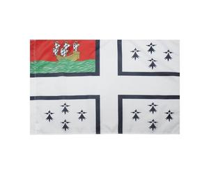 AZ FLAG Drapeau Ville de Nantes 90x60 cm Nantais Polyester 100D Fourreau | Usage intérieur et extérieur Drapeau décoratif coutures doubles et bords renforcés avec fourreau pour mât