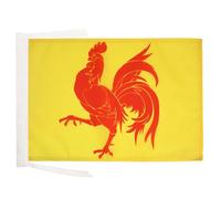 AZ FLAG Drapeau Wallonie 45x30 cm Wallon Polyester 100D Cordelettes | Usage intérieur et extérieur Drapeau décoratif coutures doubles et bords renforcés