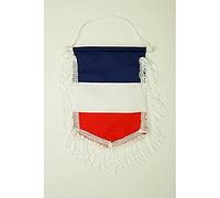 AZ FLAG Fanion France 15x10 cm Français Polyester Léger Cordelettes