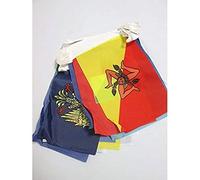 AZ FLAG Guirlande 20 régions d'Italie 6 m 20 drapeaux Polyester Léger | Usage intérieur et extérieur Guirlande de drapeaux italien 20 regioni d'italia drapeaux cousus sur un ruban renforcé