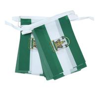 AZ FLAG Guirlande Andalousie 6 m 20 drapeaux Polyester Léger 21x15 cm | Usage intérieur et extérieur Guirlande de drapeaux Andalucía drapeaux cousus sur un ruban renforcé