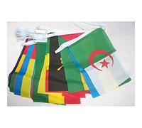 AZ FLAG - Guirlande Drapeau 54 Pays d'afrique - 16 Mètres avec 54 Fanions Pays Africain De 21x14 cm - Petits Drapeaux 100% Polyester - 160g