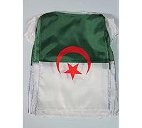 AZ FLAG - Guirlande Drapeau Algérie - 12 Mètres Avec 20 Drapeaux Algérien De 45x30 cm - Fanions 100% Polyester - 200g