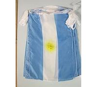 AZ FLAG - Guirlande Drapeau Argentine - 12 Mètres Avec 20 Drapeaux Argentin De 45x30 cm - Fanions 100% Polyester - 200g