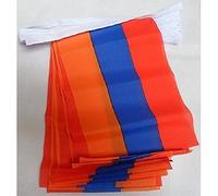 AZ FLAG - Guirlande Drapeau Arménie - 6 Mètres Avec 20 Fanions Arménien De 21x14 cm - Petits Drapeaux 100% Polyester - 60g