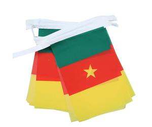 AZ FLAG - Guirlande Drapeau Cameroun - 12 Mètres Avec 20 Drapeaux Camerounais De 45x30 cm - Fanions 100% Polyester - 200g