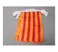 AZ FLAG - Guirlande Drapeau Catalogne - 12 Mètres Avec 20 Drapeaux Catalan De 45x30 cm - Fanions 100% Polyester - 200g