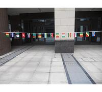 AZ FLAG - Guirlande Drapeau Coupe d'Afrique des Nations 2015-5 Mètres Avec 16 Fanions De La Can De Football 2015 De 21x14 cm - Petits Drapeaux 100% Polyester - 50g