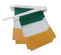 AZ FLAG - Guirlande Drapeau Irlande - 6 Mètres Avec 20 Fanions Irlandais De 21x14 cm - Petits Drapeaux 100% Polyester - 60g
