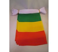 AZ FLAG - Guirlande Drapeau Mali - 6 Mètres avec 20 Fanions Malien De 21x14 cm - Petits Drapeaux 100% Polyester - 60g