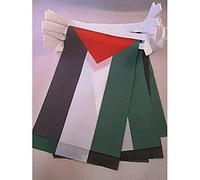 AZ FLAG - Guirlande Drapeau Palestine - 12 Mètres Avec 20 Drapeaux Palestinien De 45x30 cm - Fanions 100% Polyester - 200g