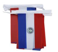 AZ FLAG - Guirlande Drapeau Paraguay - 6 Mètres Avec 20 Fanions Paraguayen De 21x14 cm - Petits Drapeaux 100% Polyester - 60g
