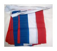 AZ FLAG - Guirlande Drapeau Pays-Bas - 4 Mètres avec 20 Petits Drapeaux Hollandais - Néerlandais De 15x10 cm - Fanion 100% Polyester - 40g