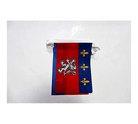 AZ FLAG - Guirlande Drapeau Province du Lyonnais - 6 Mètres Avec 20 Fanions De Lyon De 21x14 cm - Petits Drapeaux 100% Polyester - 60g