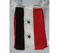 AZ FLAG - Guirlande Drapeau Syrie - Armée Syrienne libre - 12 Mètres Avec 20 Drapeaux Syrien De 45x30 cm - Fanions 100% Polyester - 200g